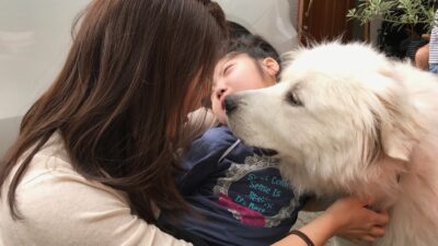 里親になろうっ！ペットを大切に。